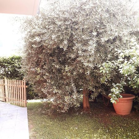 Bed and Breakfast Beb Ulivo Santa Giuletta Esterno foto
