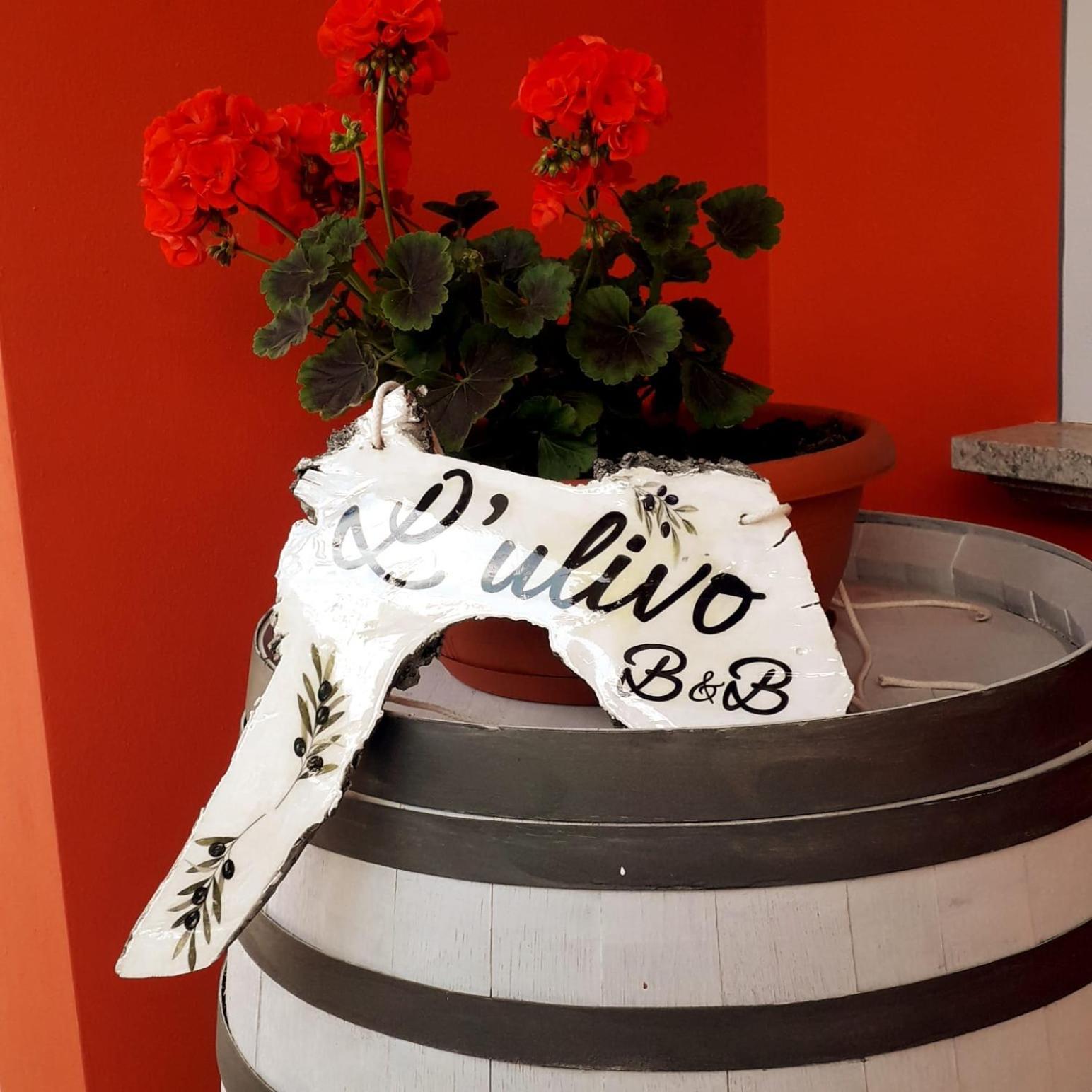 Bed and Breakfast Beb Ulivo Santa Giuletta Esterno foto